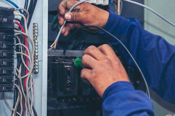 Best Electric Panel Repair  in Warrenvle, IL